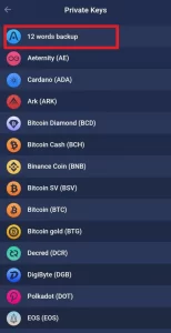 بازیابی عبارت 12 Word Atomic Wallet Recovery