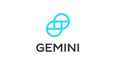 کیف پول Gemini