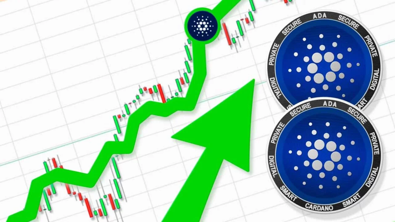 عوامل موثر بر قیمت کاردانو
